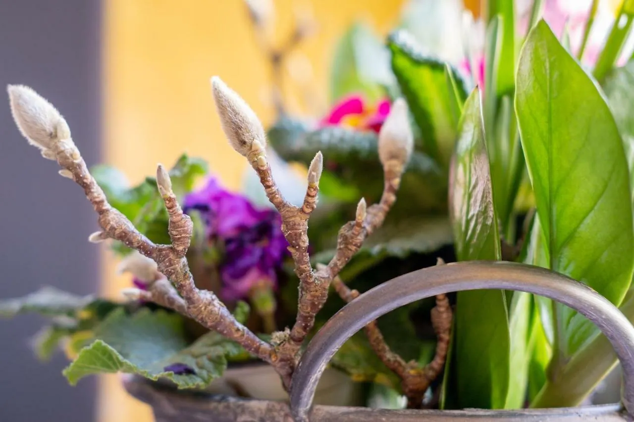 Das Mietwerk - Bed & Breakfast Lindau